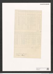 Diatomeae indet. Zeichnungen Sammlung Grunow (NHMW-BOT-W0368735)